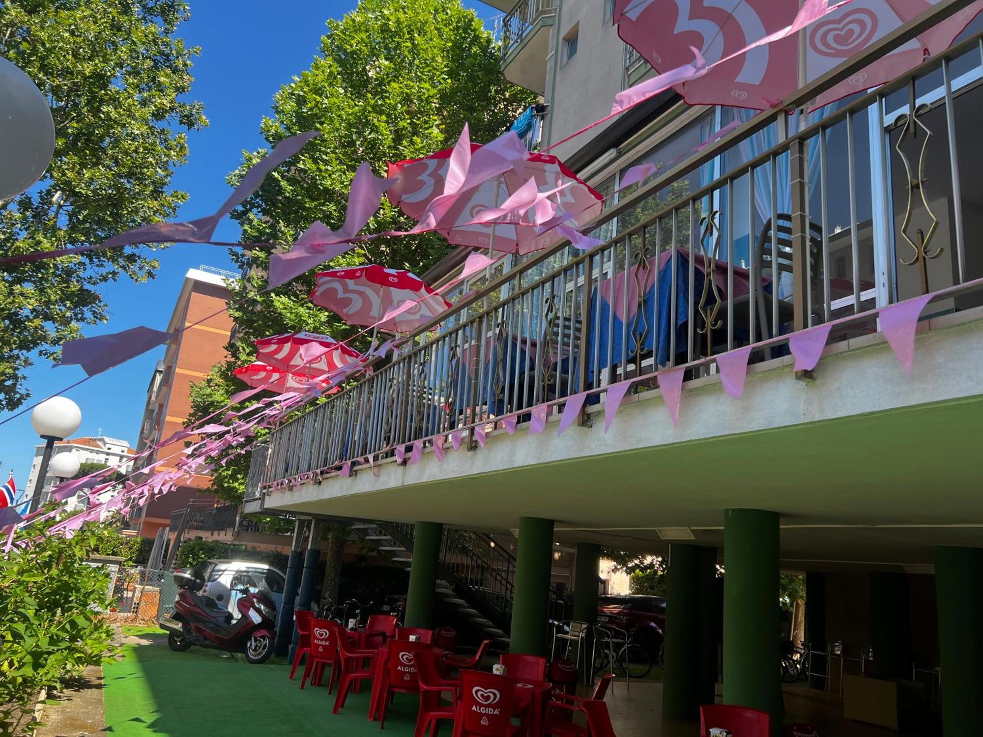 Hotel Napoleon 切塞纳蒂科 外观 照片